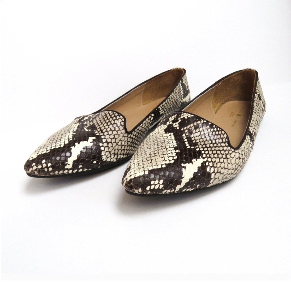 Shoes - Picture 7 of 8